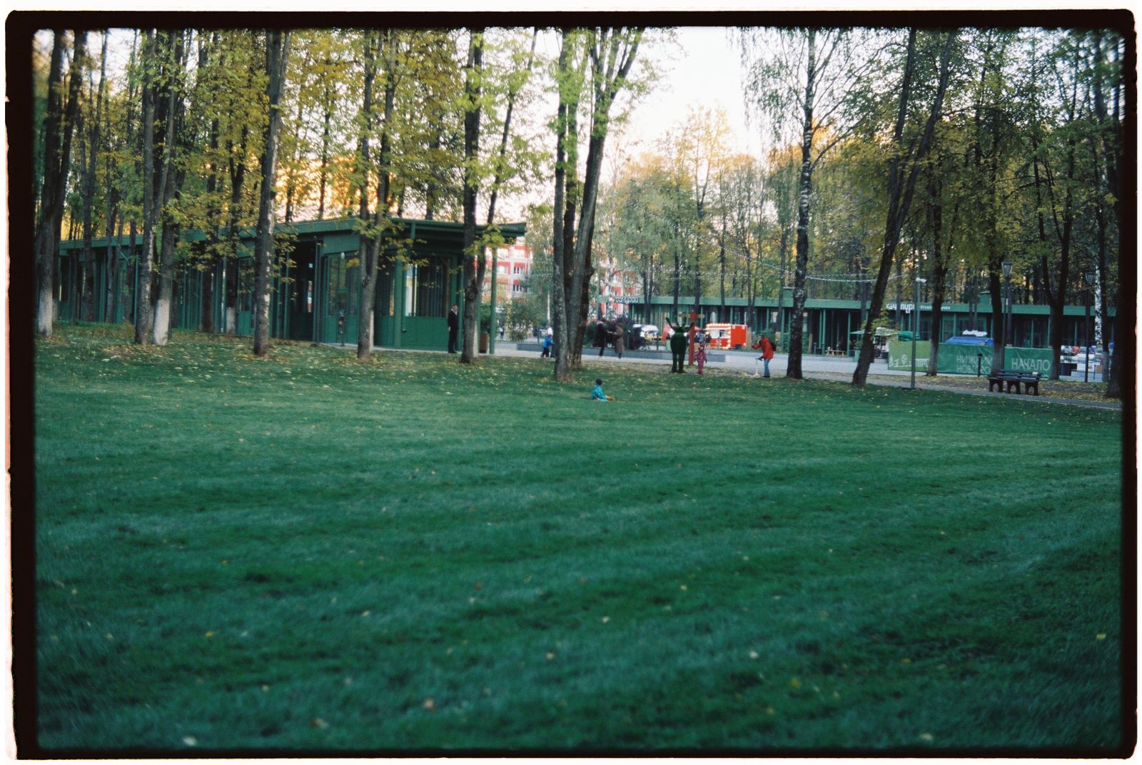 Parco urbano verde con prato e alberi, immagine simbolica del progetto Città metropolitana Spugna che trasforma parcheggi e piazze del milanese in infrastrutture capaci di assorbire l'acqua piovana