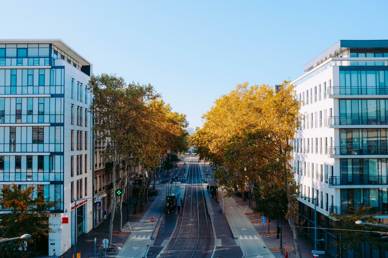 Vista dall'alto di una strada cittadina alberata tra due edifici moderni, immagine simbolica del progetto satellitare MIRIFICUS sulle isole di calore urbano
