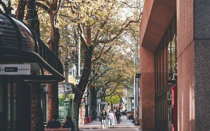 Strada alberata di una città con passanti all'ombra, immagine simbolica dello studio sugli alberi stradali di Barcellona