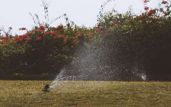 Irrigatore che annaffia un prato verde fiorito sotto un cielo estivo