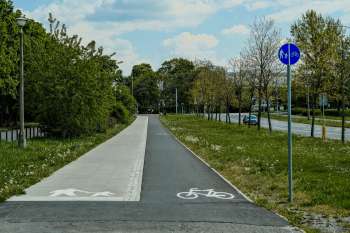 Pista ciclabile vuota immersa nel verde in una giornata di sole