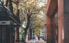 Strada alberata di una città con passanti all'ombra, immagine simbolica dello studio sugli alberi stradali di Barcellona