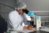 Ricercatore in laboratorio osserva un campione al microscopio durante un test su materiali per batterie